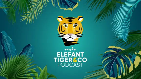 Podcast Elefant Tiger und Co