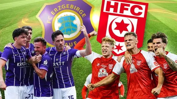 FC Erzgebirge Aue - Hallescher FC