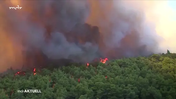 Szene aus Livestream MDR-Fernsehen