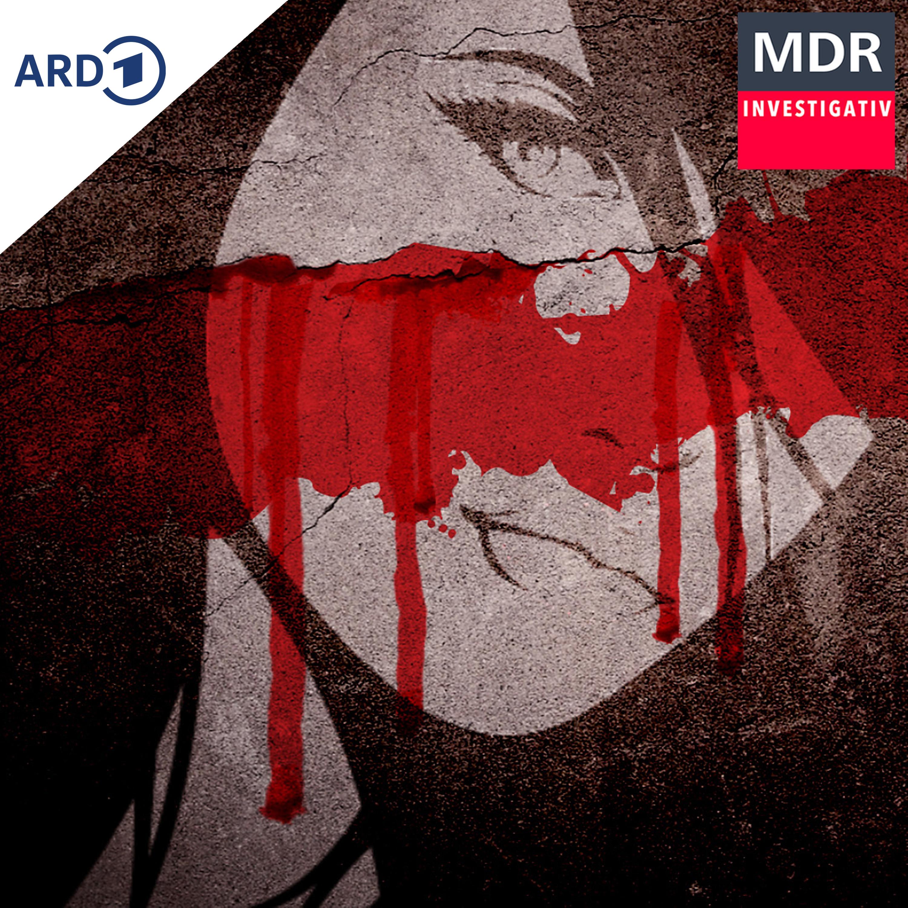 Femizid – Es ist Mord und kein "Beziehungsdrama" episode artwork