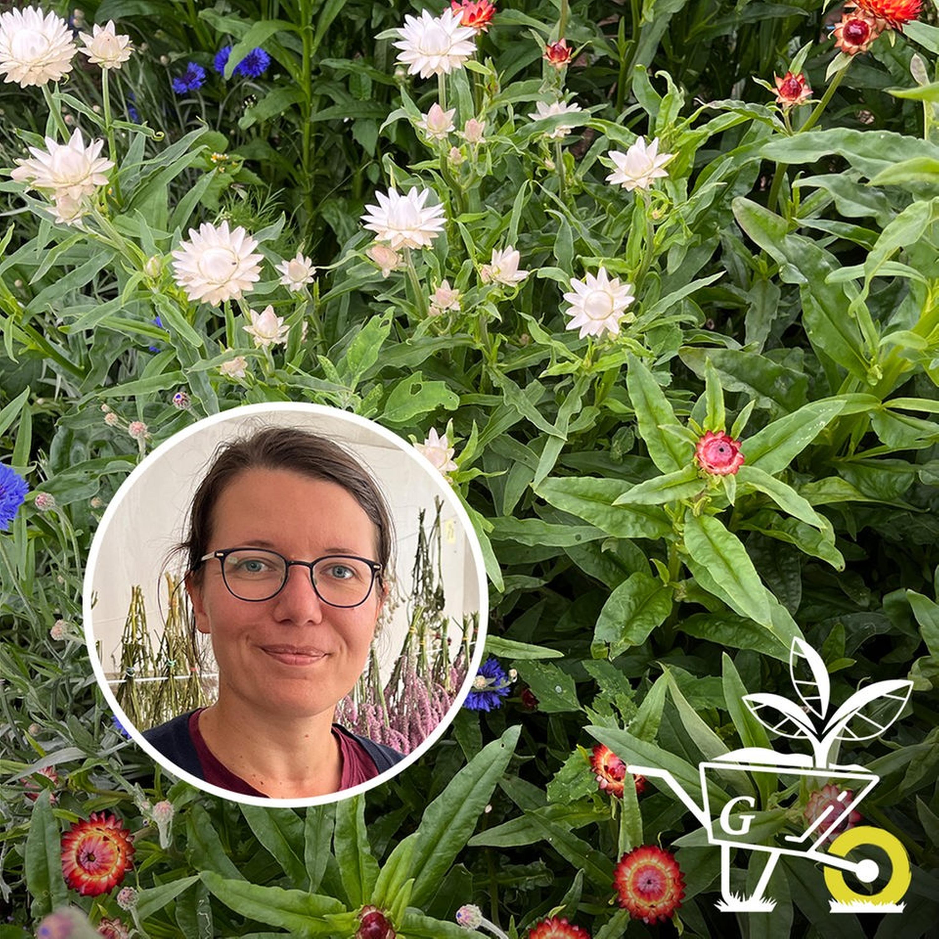 #39: Schnittblumen im Garten episode artwork