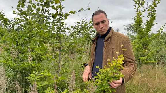 Martin Kohlstedt im Wald