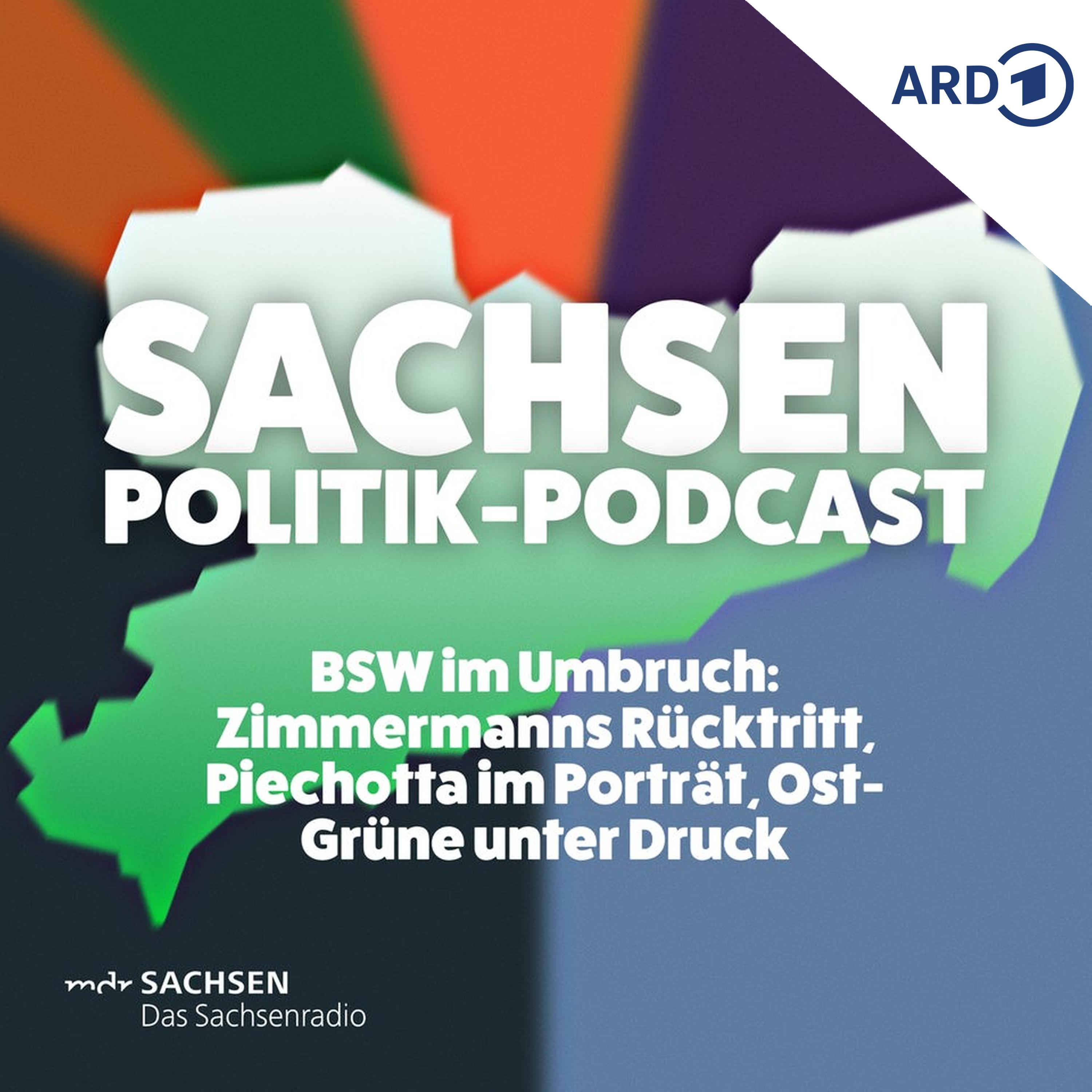 BSW im Umbruch: Zimmermanns Rücktritt, Piechotta im Porträt, Ost-Grüne unter Druck episode artwork
