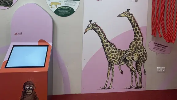 Tierpark Görlitz zeigt neue Ausstellung über das Liebesleben der Tiere