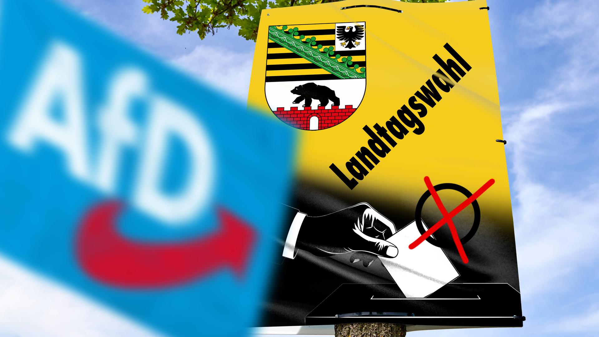 Landtagswahl in Sachsen-Anhalt: So reagieren Verbände, Stiftungen und Theater
