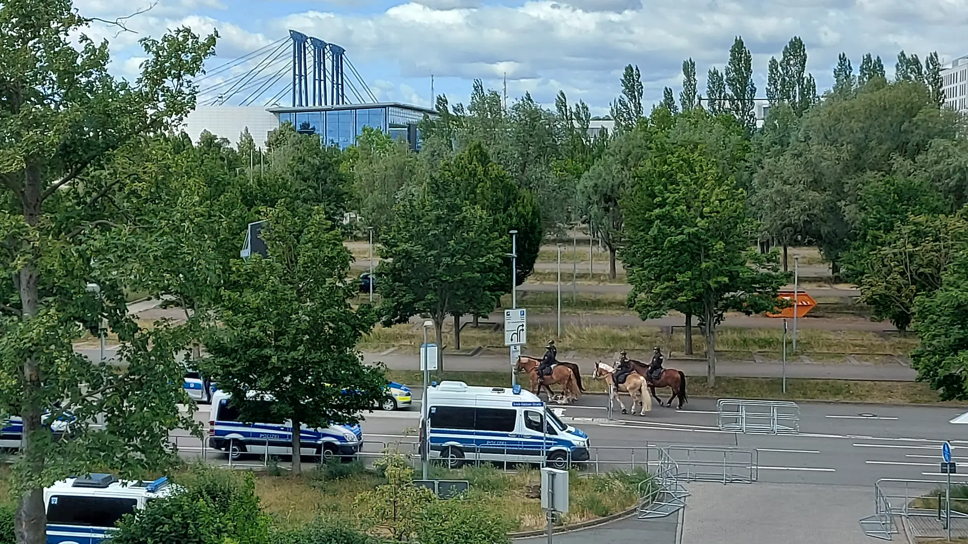 erfurt afd parteitag