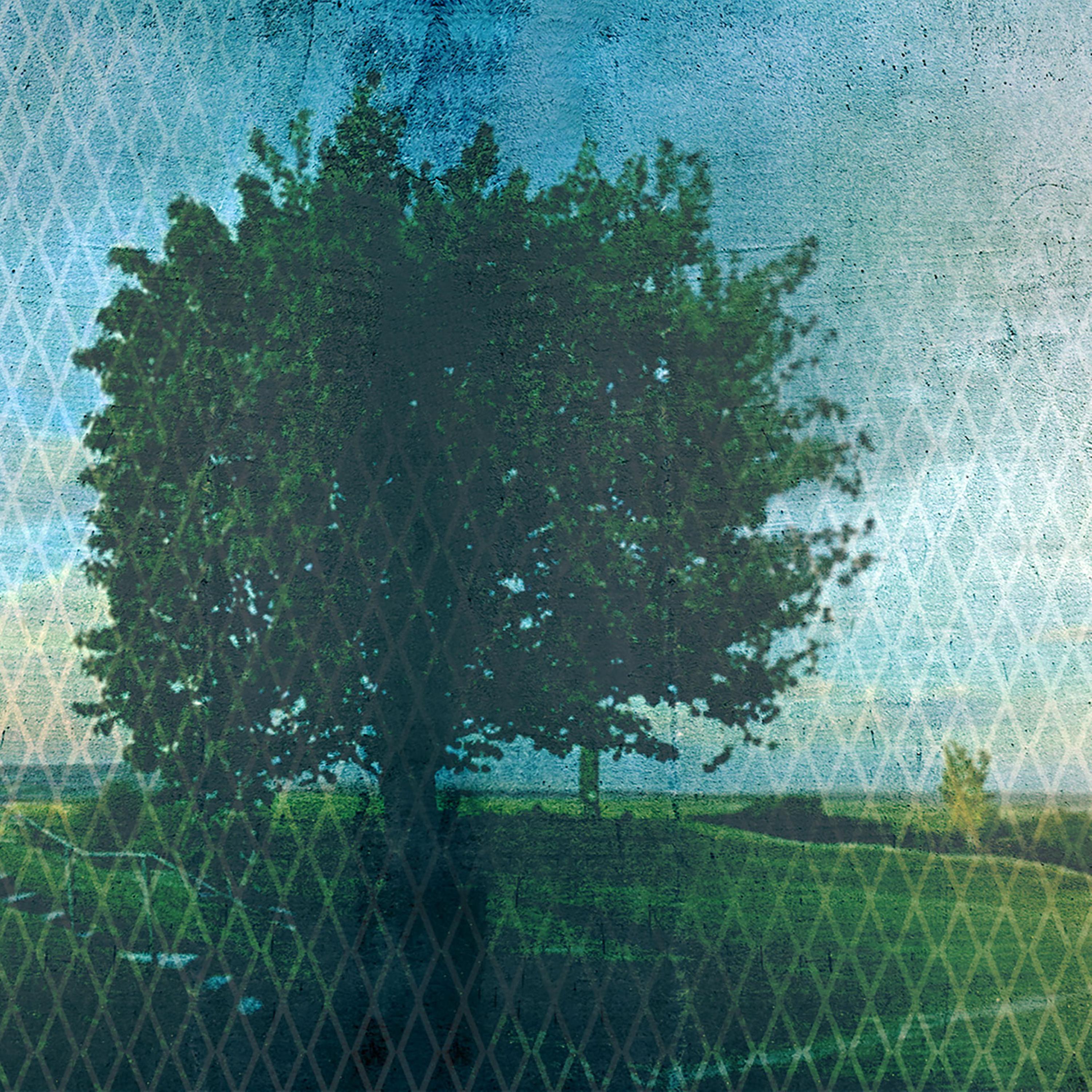 Die Zwangsumsiedlung (2/4) episode artwork