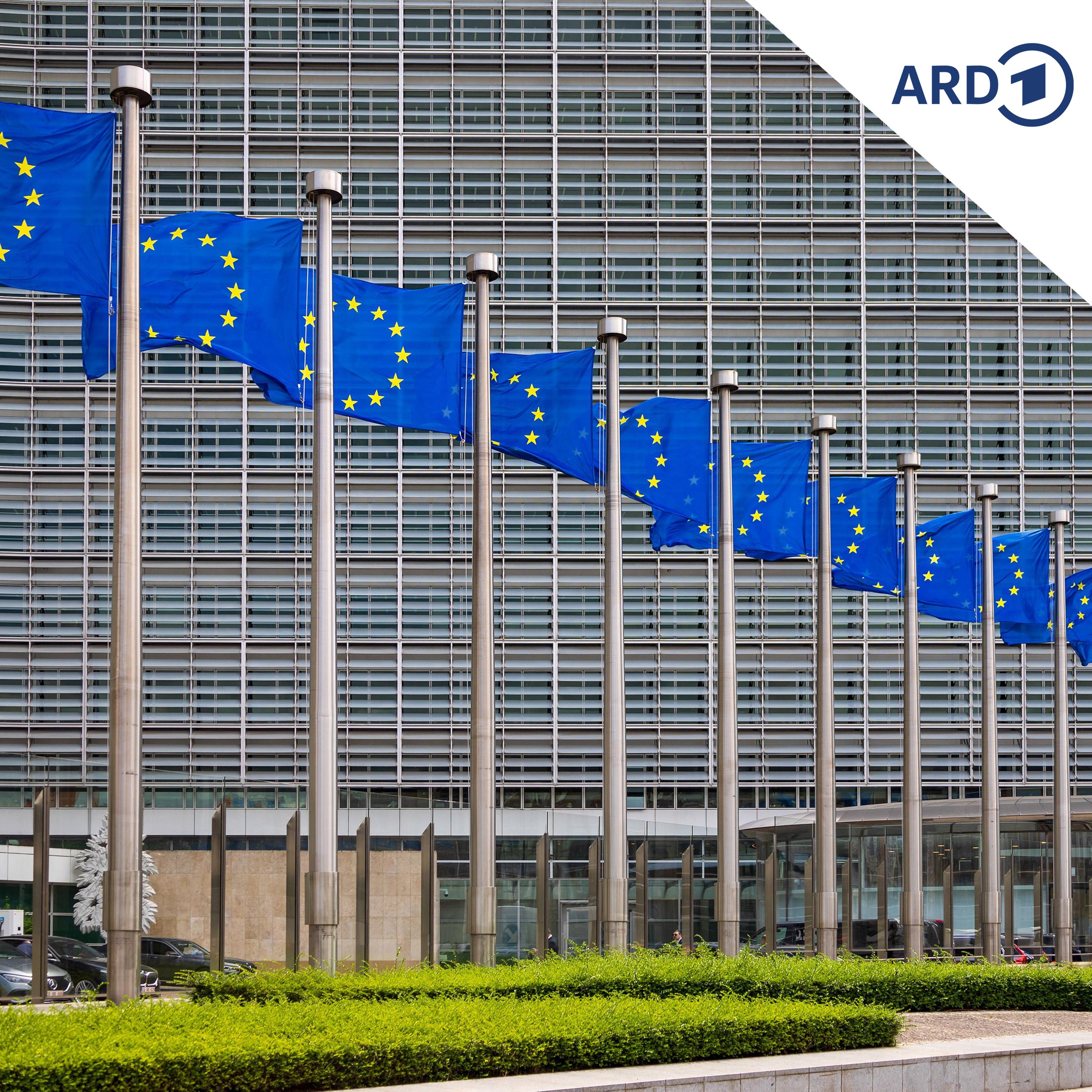 Kommentar: EU-Sanktionspaket mit zweifelhafter Außenwirkung episode artwork