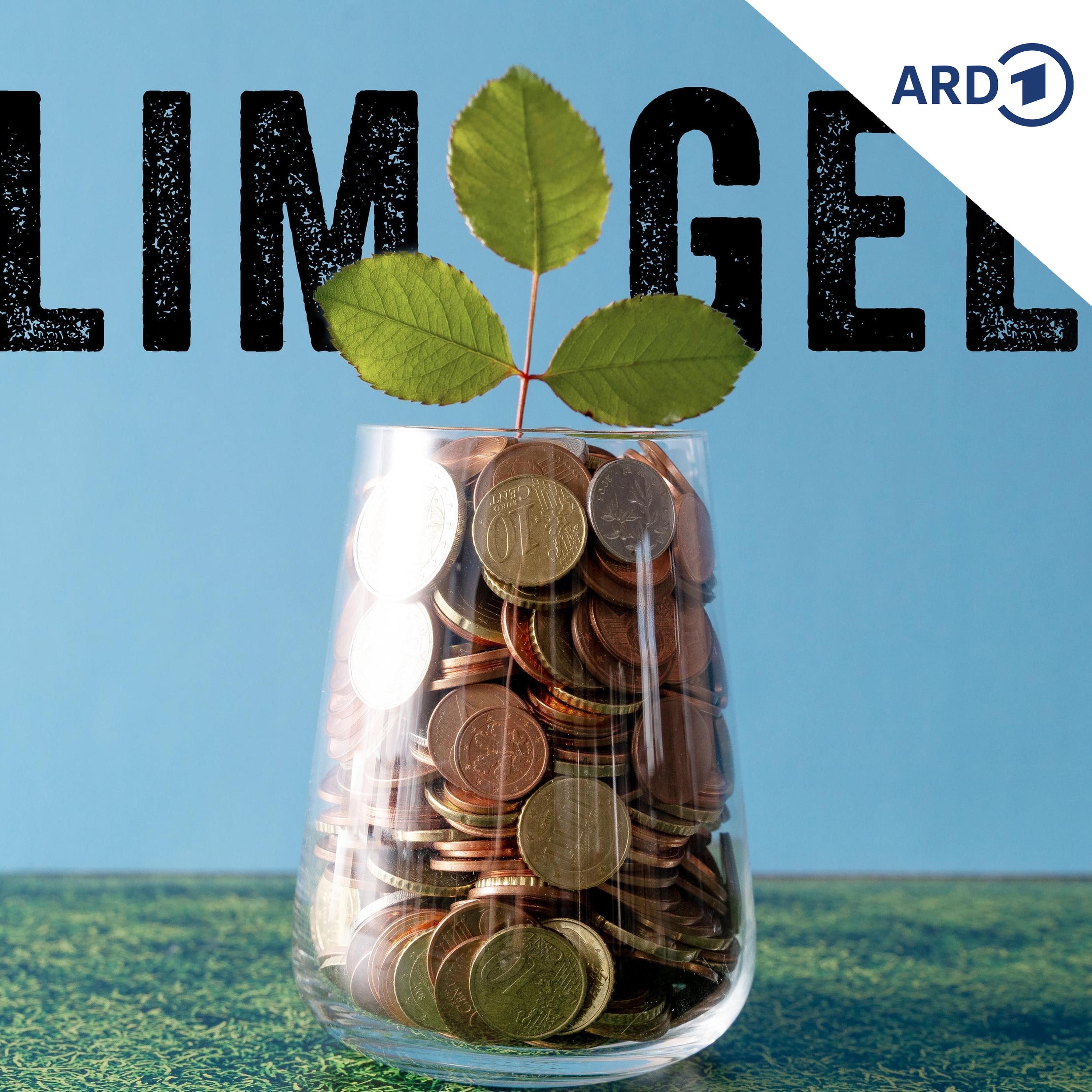 Wo bleibt die Entlastung bei der CO2-Steuer? episode artwork