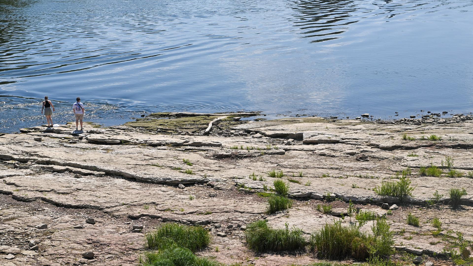 Personen stehen auf dem trockenliegenden Domfelsen an der Elbe in Magdeburg | picture alliance/dpa | Klaus-Dietmar Gabbert