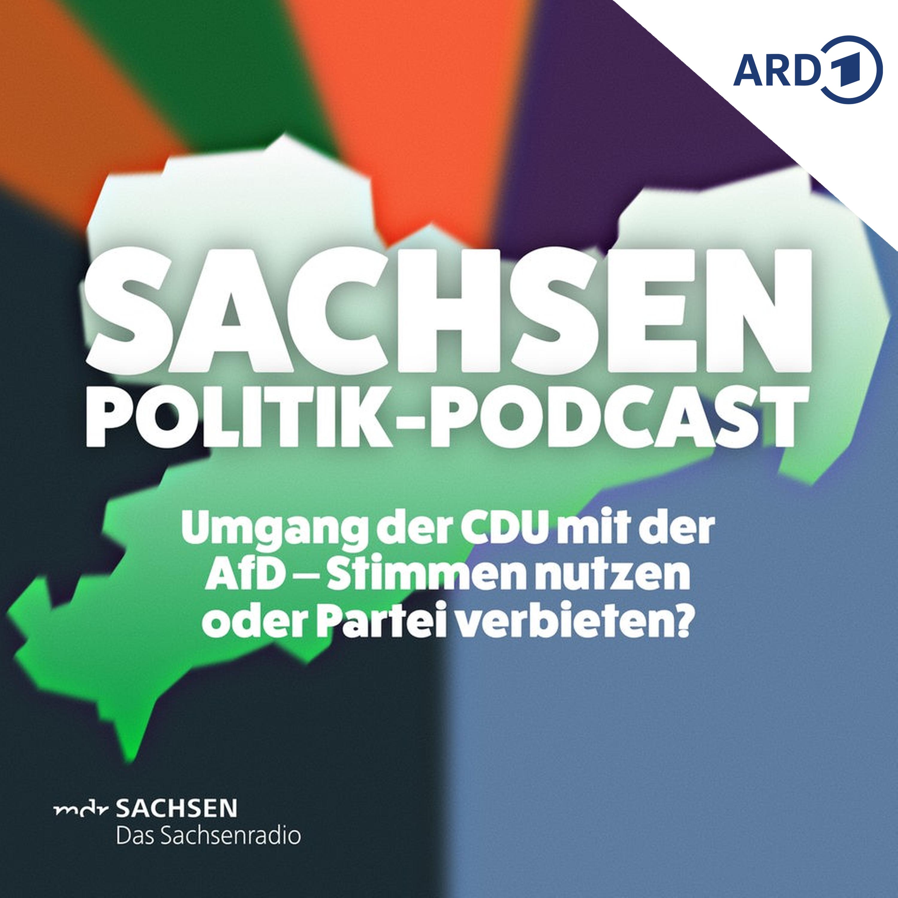Umgang der CDU mit der AfD – Stimmen nutzen oder Partei verbieten? episode artwork