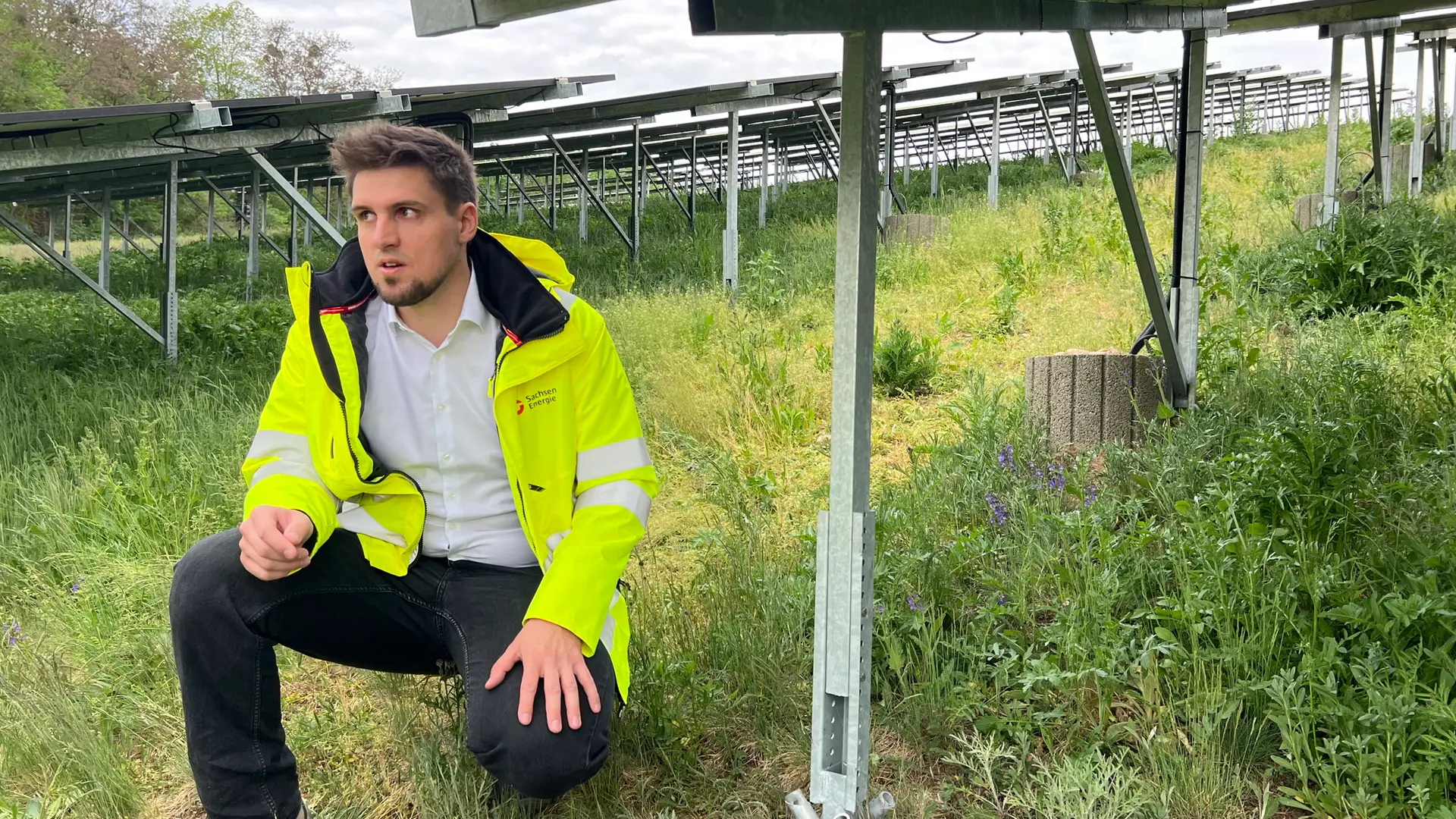Frühere Mülldeponie in Dresden wird Solarpark