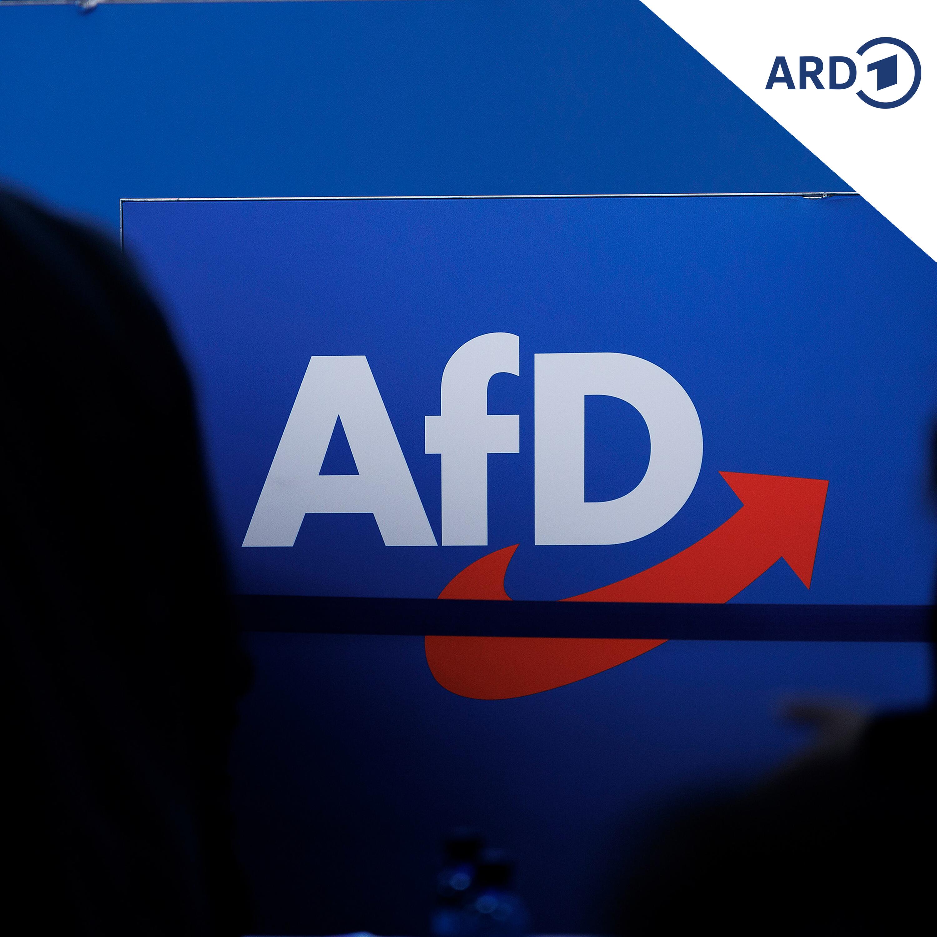 Wirtschaft unter Druck: Wie umgehen mit der AfD? episode artwork