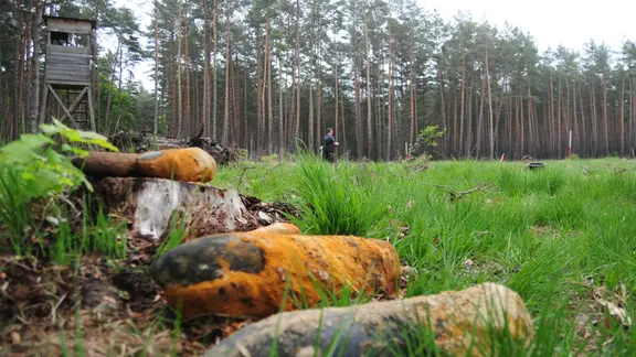 Mitarbeiter des Kampfmittelbeseitigungsdienstes Sachsen-Anhalt untersuchen mit einer Sonde ein Waldstück bei Tangerhütte, im Vordergrund liegen mehrere bereits geborgene Granaten