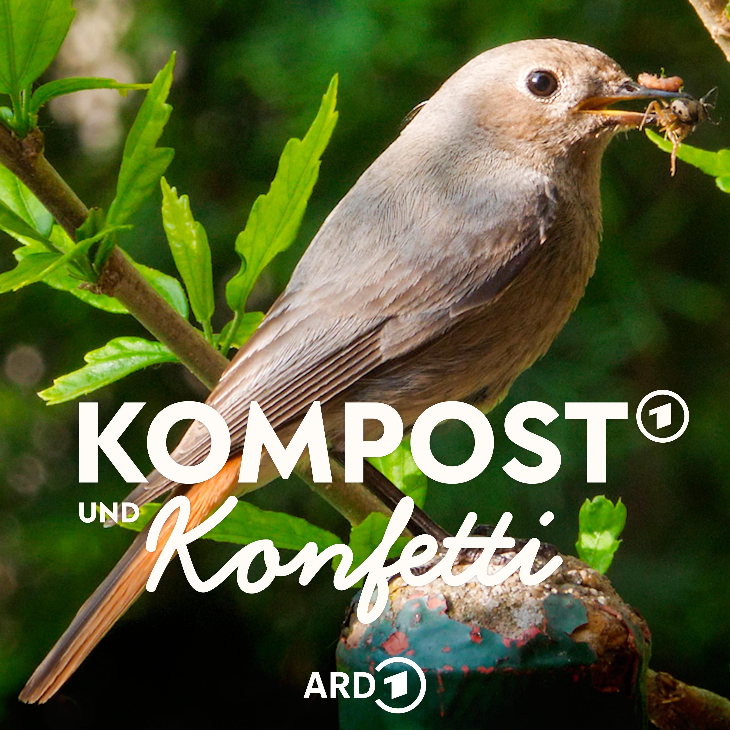 So lockst Du Vögel in den Garten episode artwork