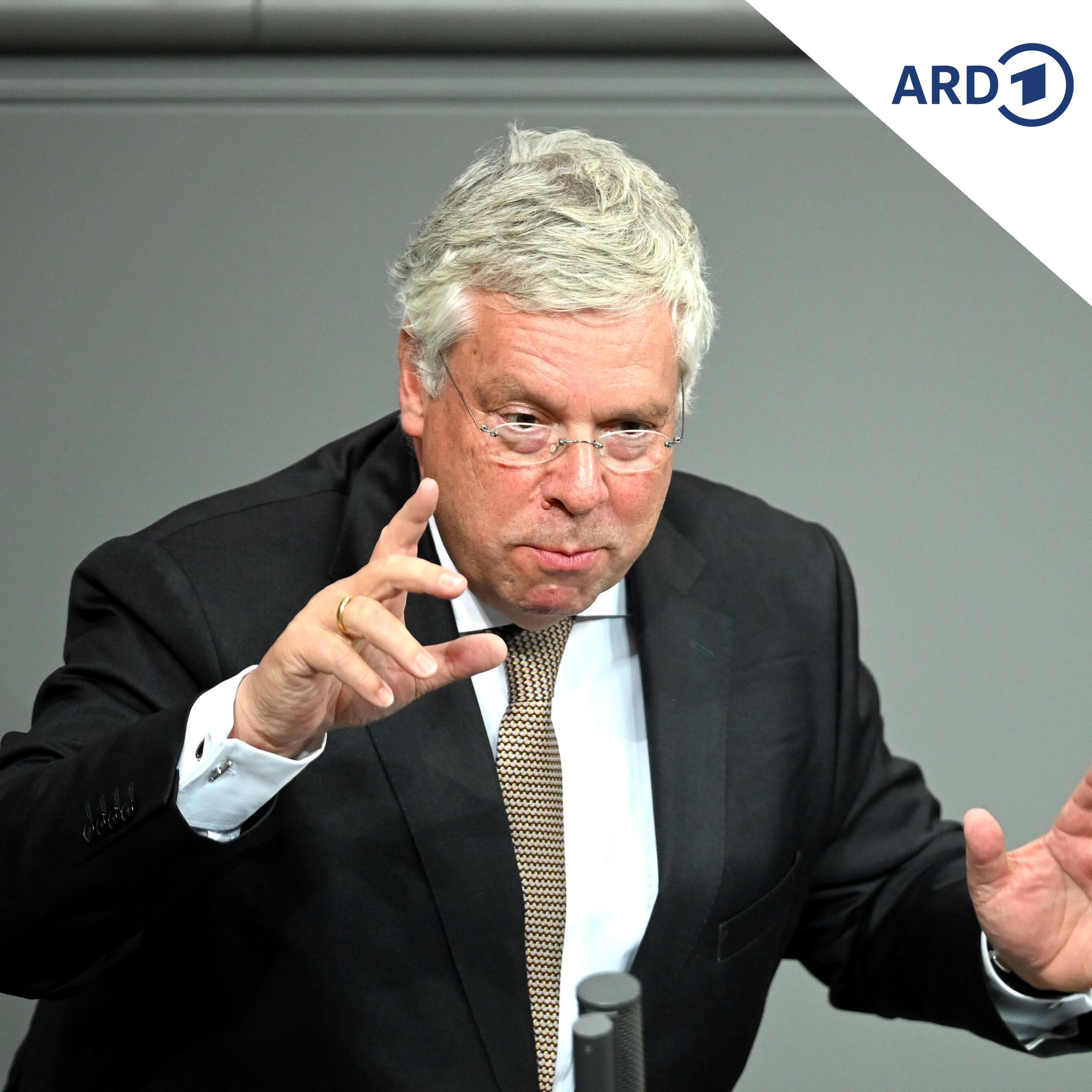 CDU-Außenpolitiker Hardt sieht EU-Gipfel als großen Erfolg episode artwork
