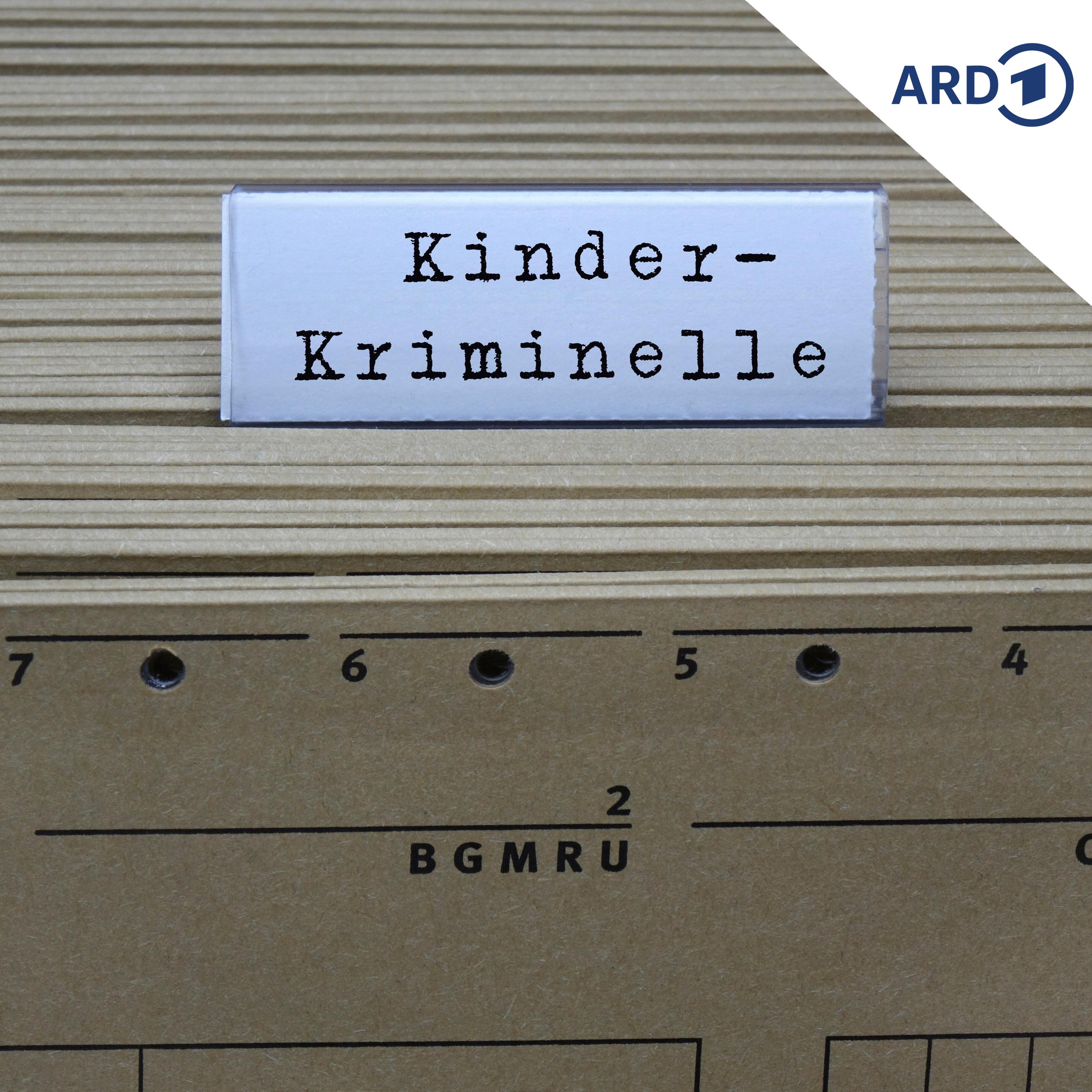 Wie umgehen mit einer straffälligen Kinderbande? episode artwork