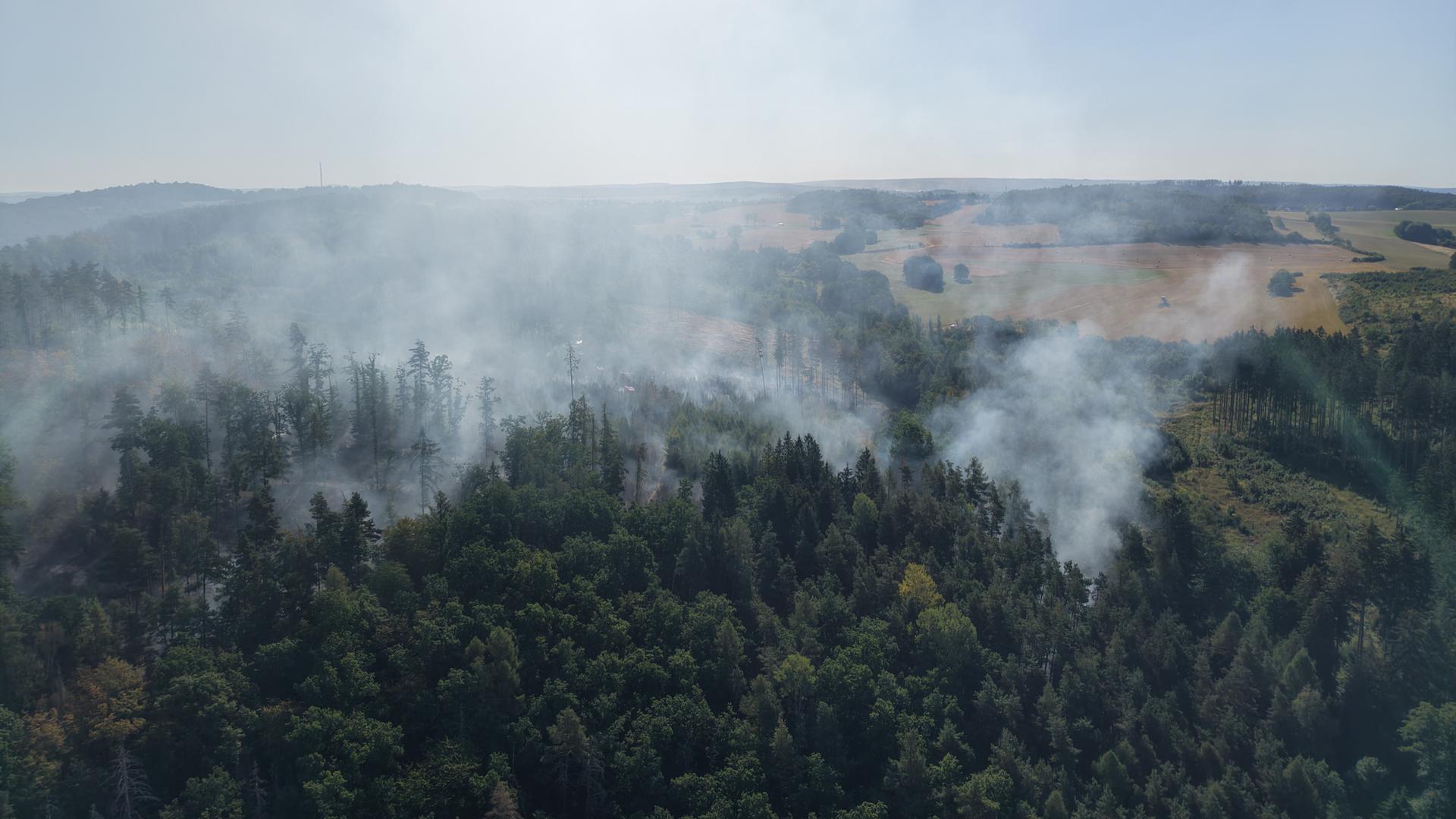 Rauch steigt aus einem Waldgebiet auf. Bei einem Waldbrand bei Plauen brennen mehrere Hektar Wald. | picture alliance/dpa | Bodo Schackow