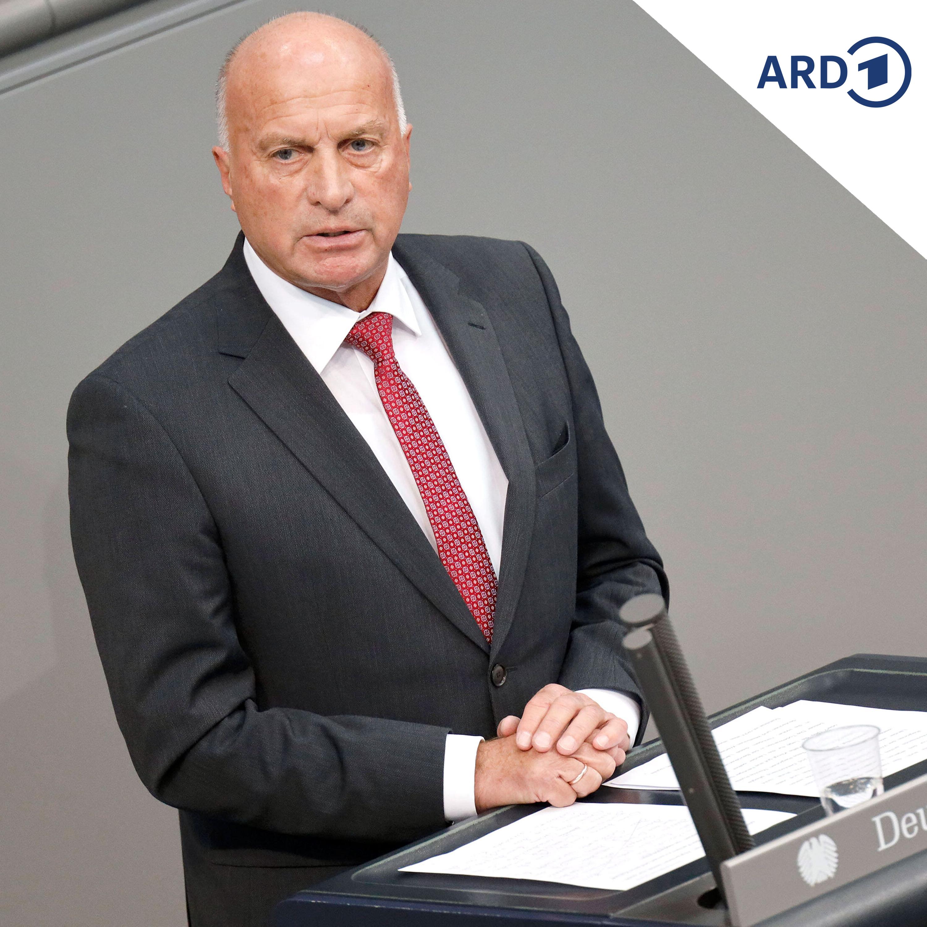 AfD-Politiker: Keine Friedensverhandlungen ohne die Ukraine episode artwork