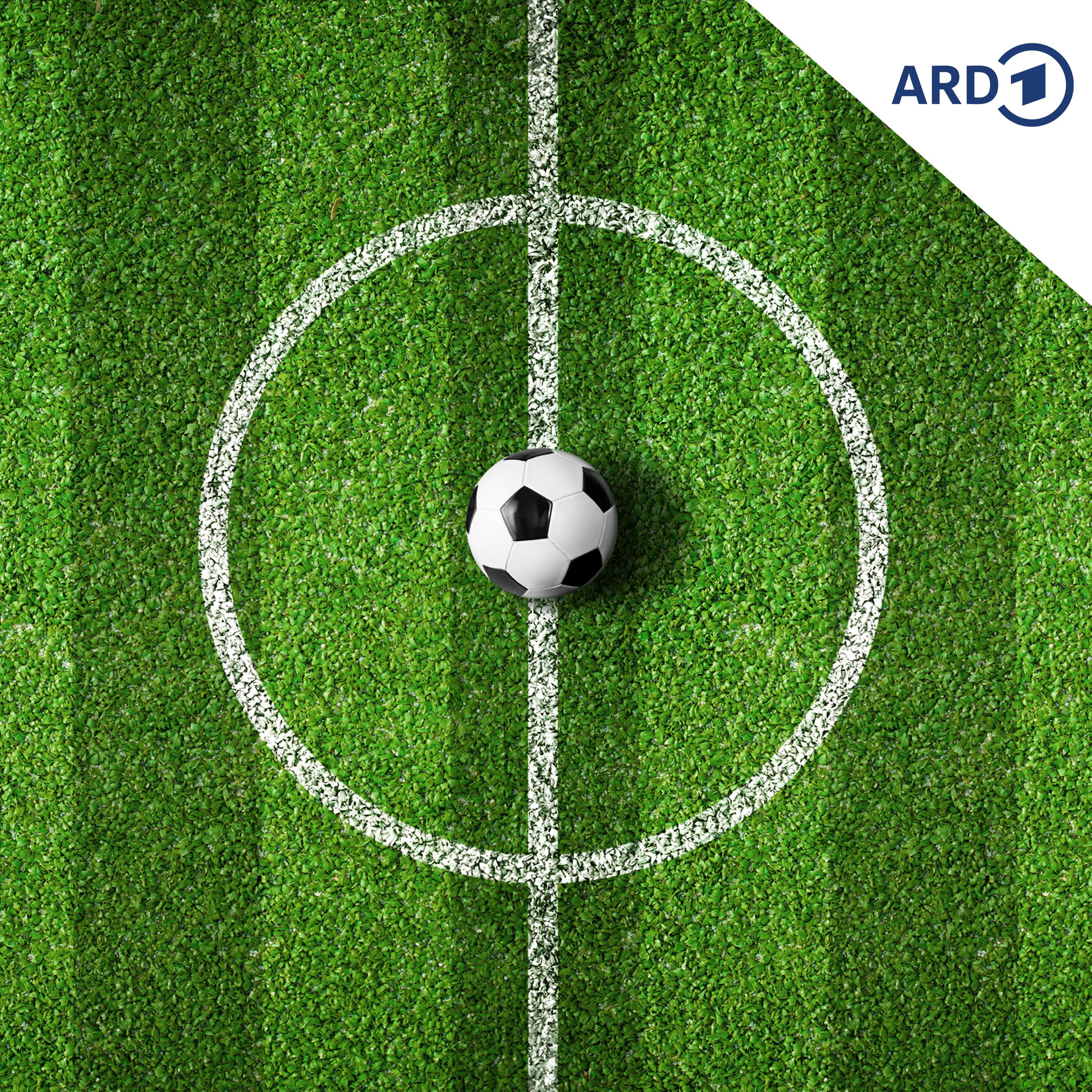 Wie ein Altenburger Fußballspiel zu Honeckers Chefsache wurde episode artwork
