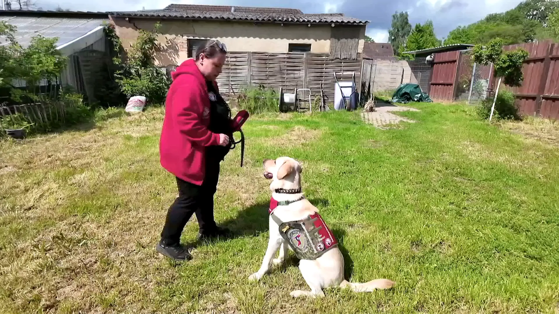 Hund Bailey hilft Bundeswehrveteran Mike im Alltag