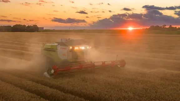  Auf einem Feld bei Pasewalk wird Gerste geerntet Pasewalk Mecklenburg-Vorpommern Deutschland *** July 3, 2026