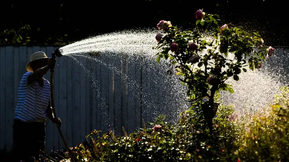 Eine Frau gießt mit Wasser aus einer Grundwasserpumpe ein Blumenbeet. Eine Hitzewelle bringt Deutschland diese Woche Temperaturen bis zu 40 Grad.