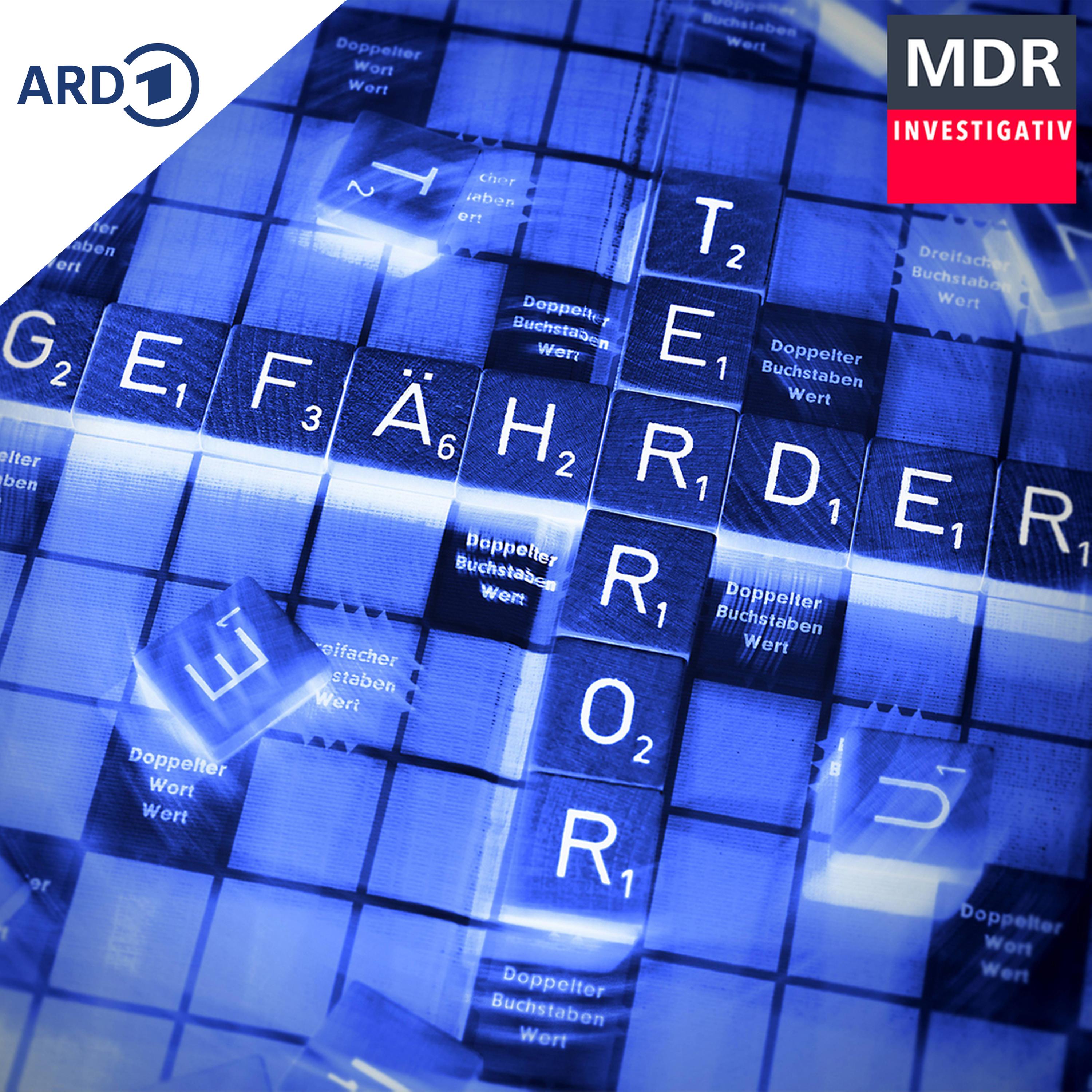 Der Terror der einsamen Wölfe - wie Einzelgänger zu rechten Attentätern werden episode artwork