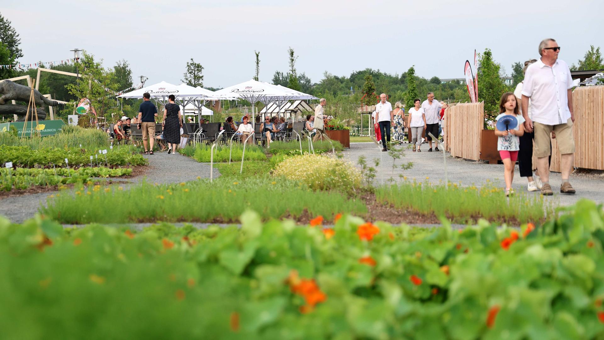 Mehrere Menschen laufen über das Gelände der Landesgartenschau in Leinefelde | MDR/Karina Heßland