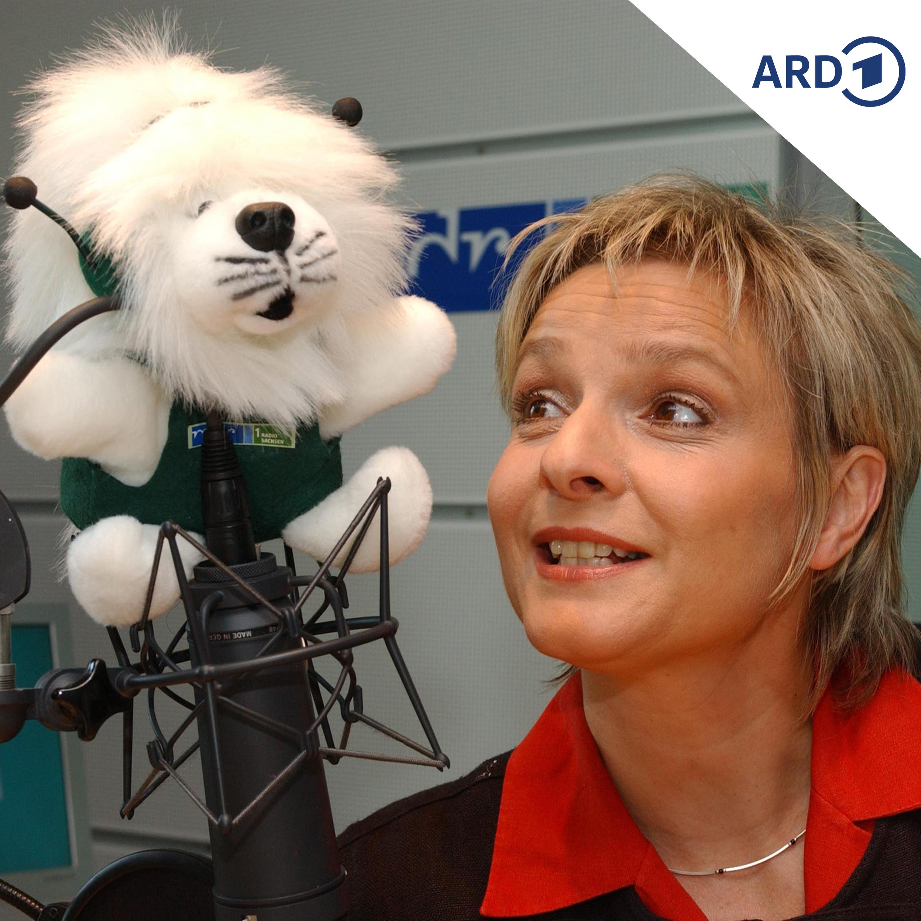 Henriette Schmidt: "Schließt sich eine Tür, öffnet sich eine andere" episode artwork