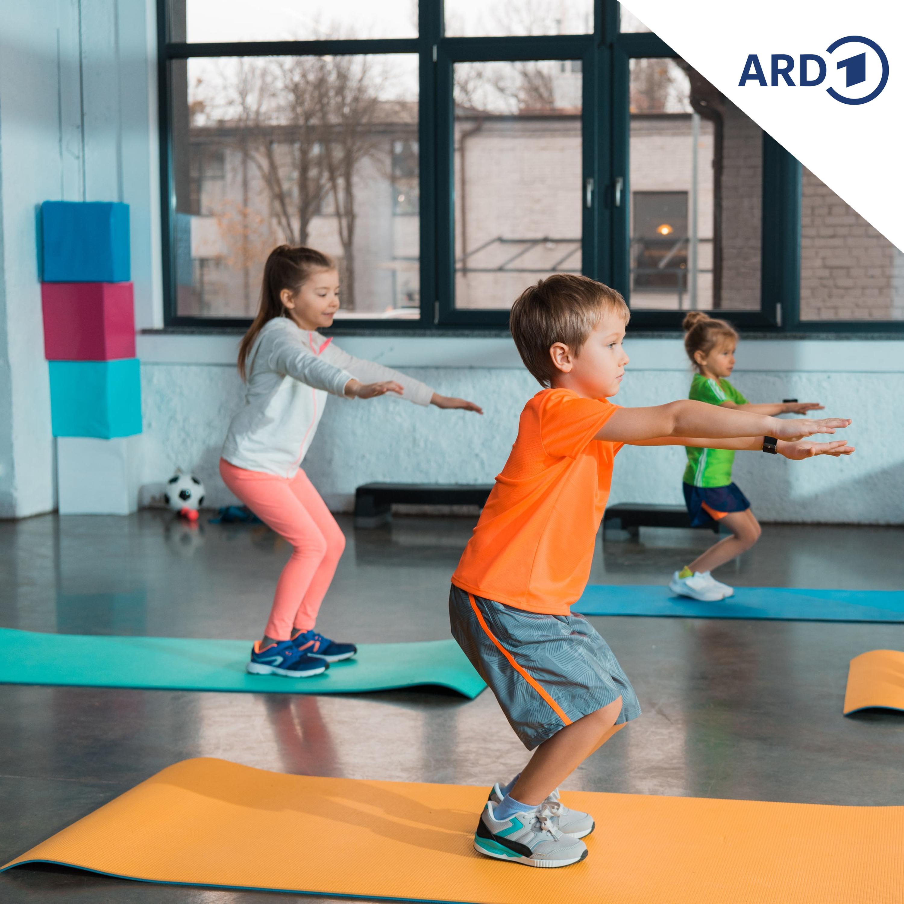 Regierung in Tschechien startet spezielles Fitnessprogramm für Kinder episode artwork