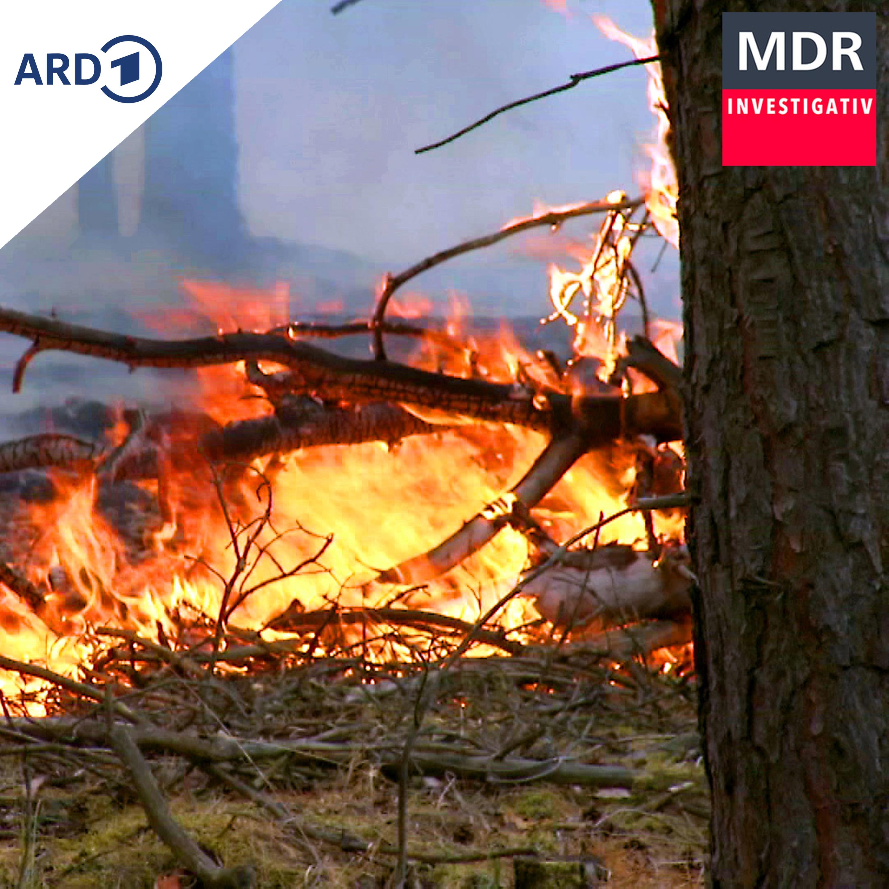 Explosionsgefahr bei Waldbrand – warum das Löschen oft schwierig ist episode artwork