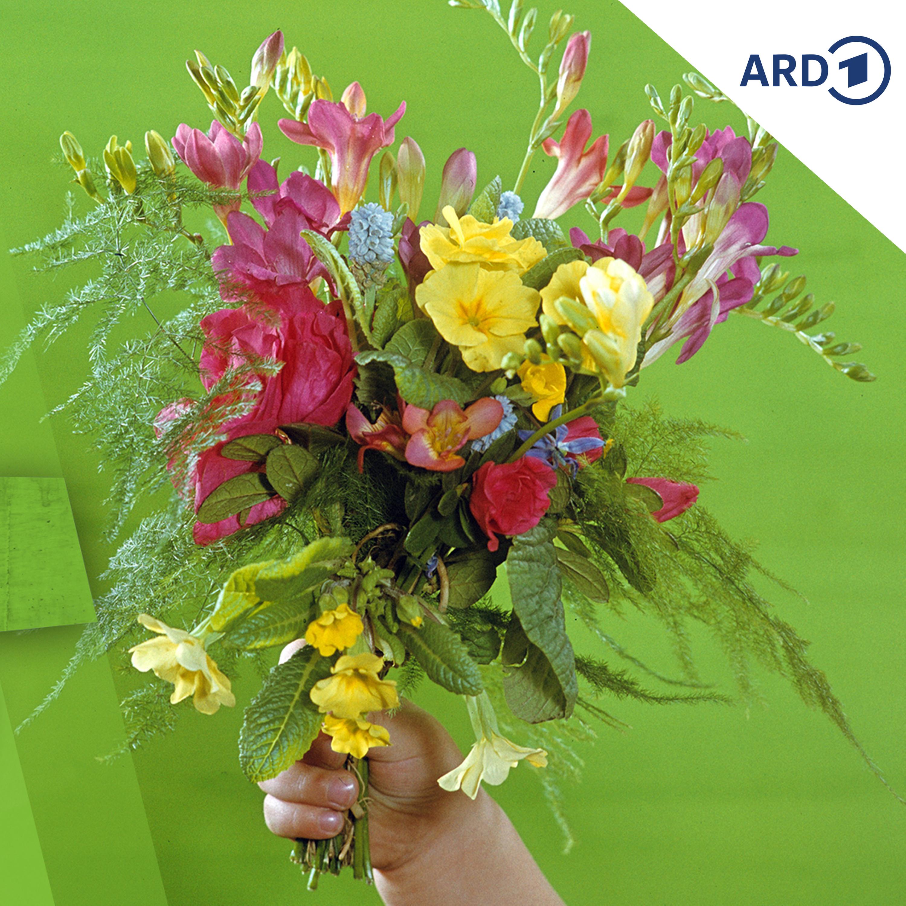 Der blühende Osten - Blumen in der DDR episode artwork