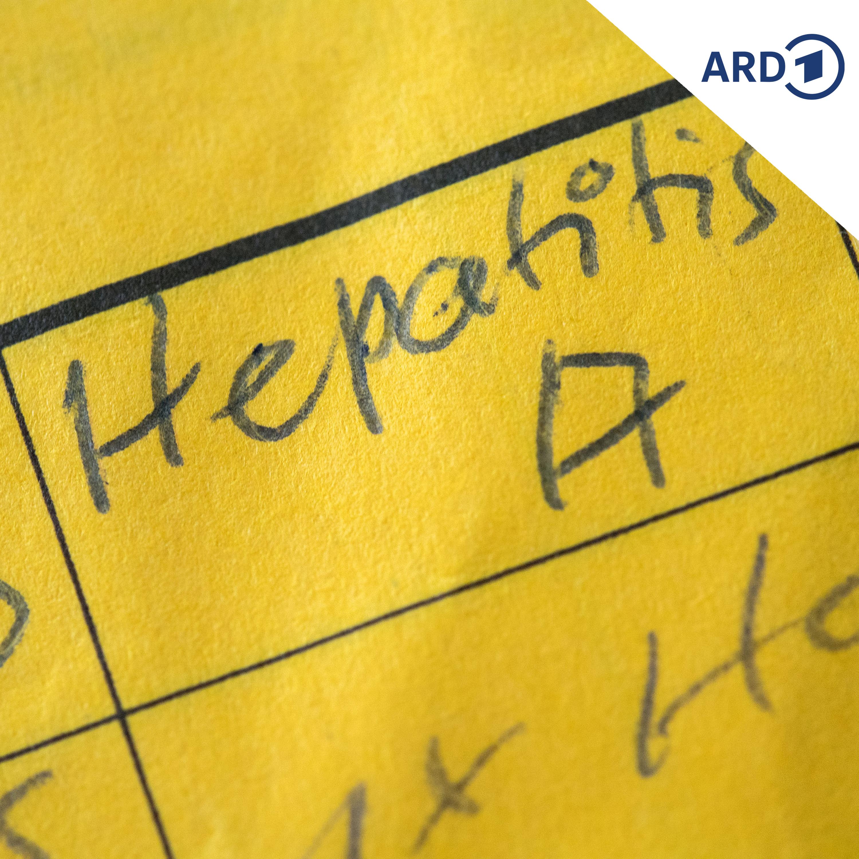 Todesfälle: Hepatitis-A-Erkrankungen in Prag angestiegen episode artwork