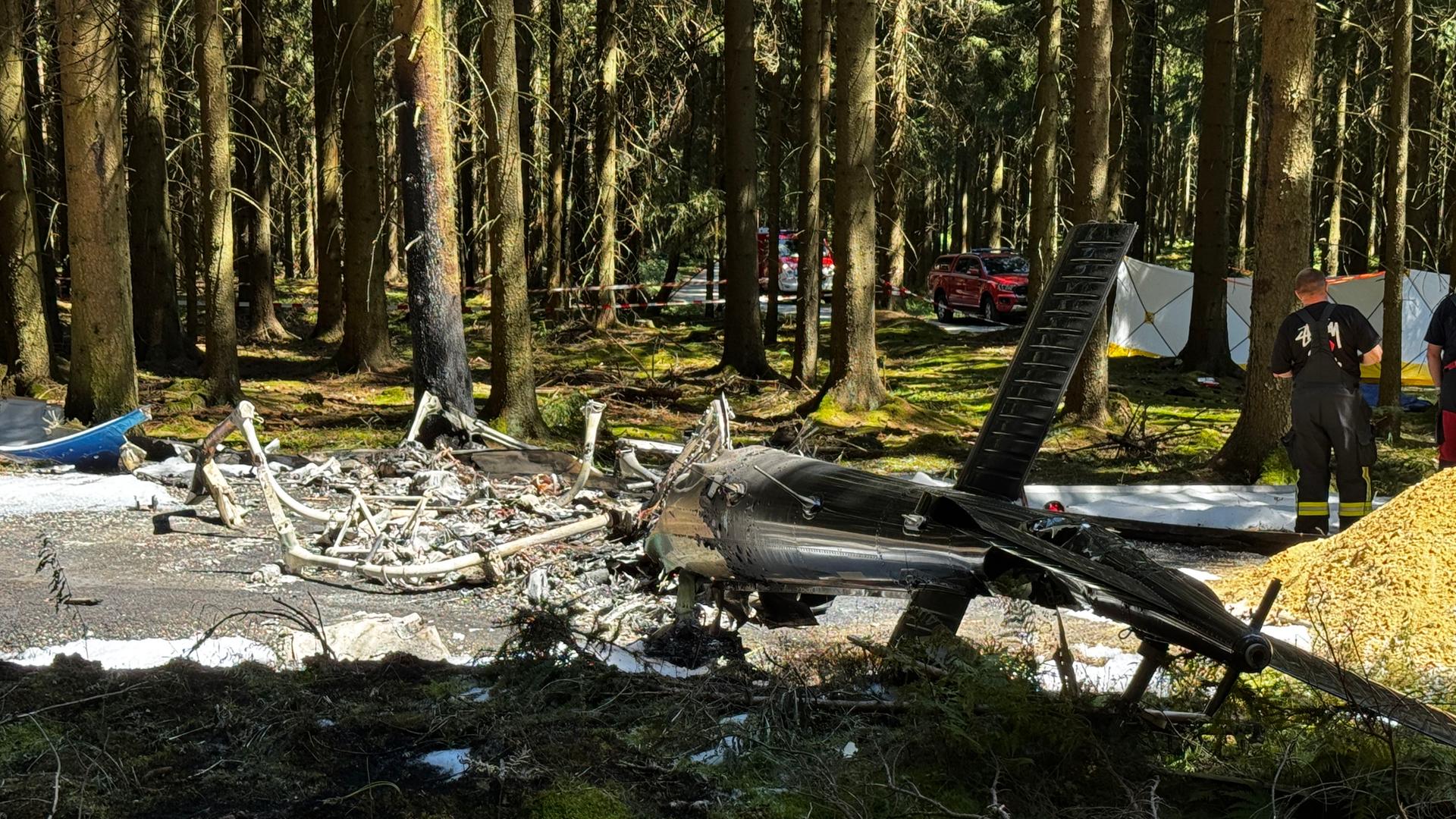 Flugzeugwrack in einem Wald | News5