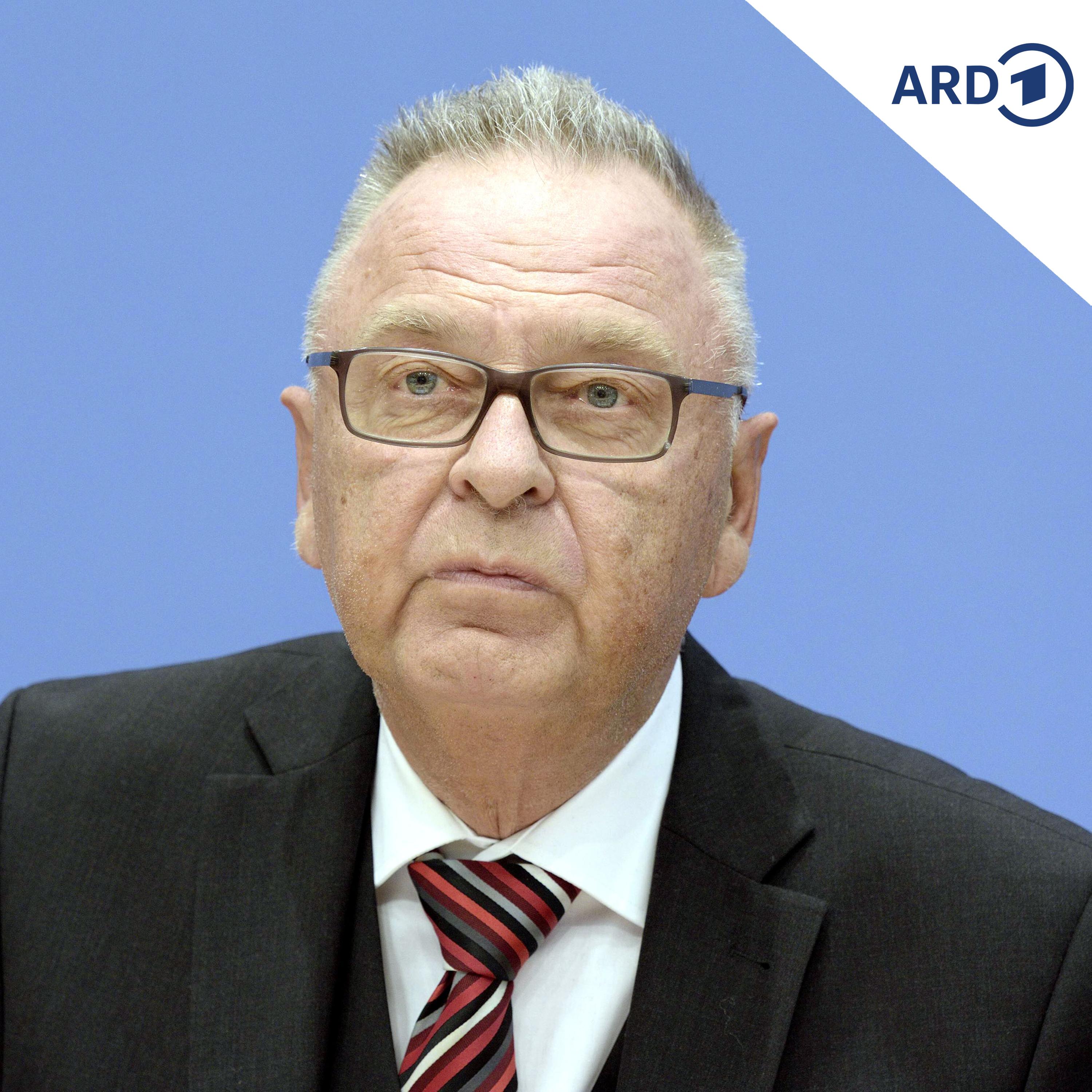 Ex-Verfassungsrichter Papier: CDU braucht Kurswechsel im Umgang mit AfD episode artwork