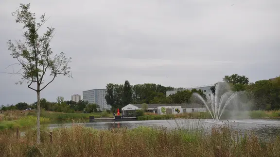 Blick auf den Auenteich vom Nordufer