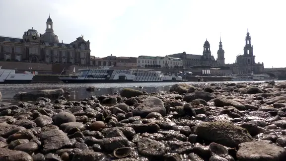 Niedrigwasser in der Elbe