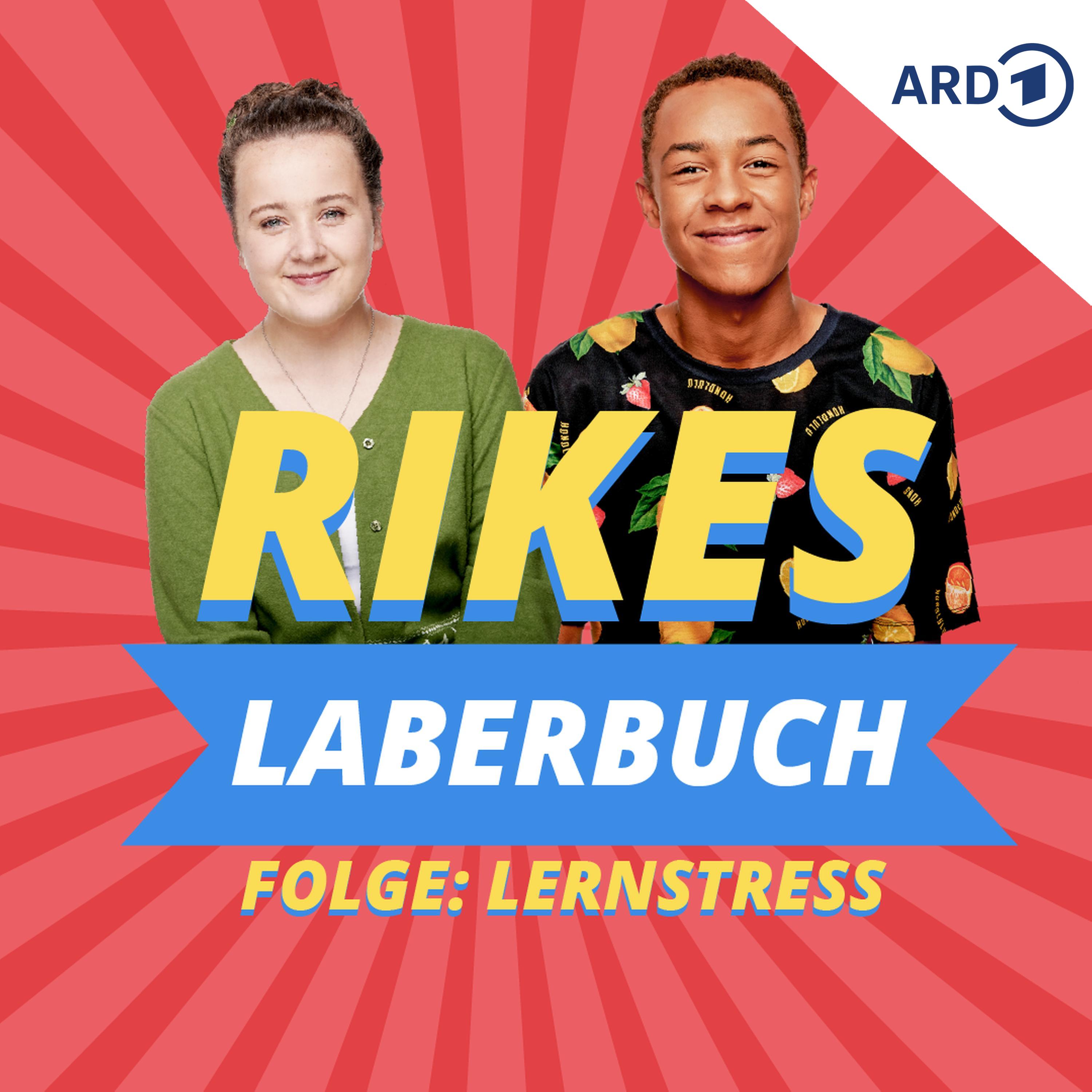 Folge: Lernstress