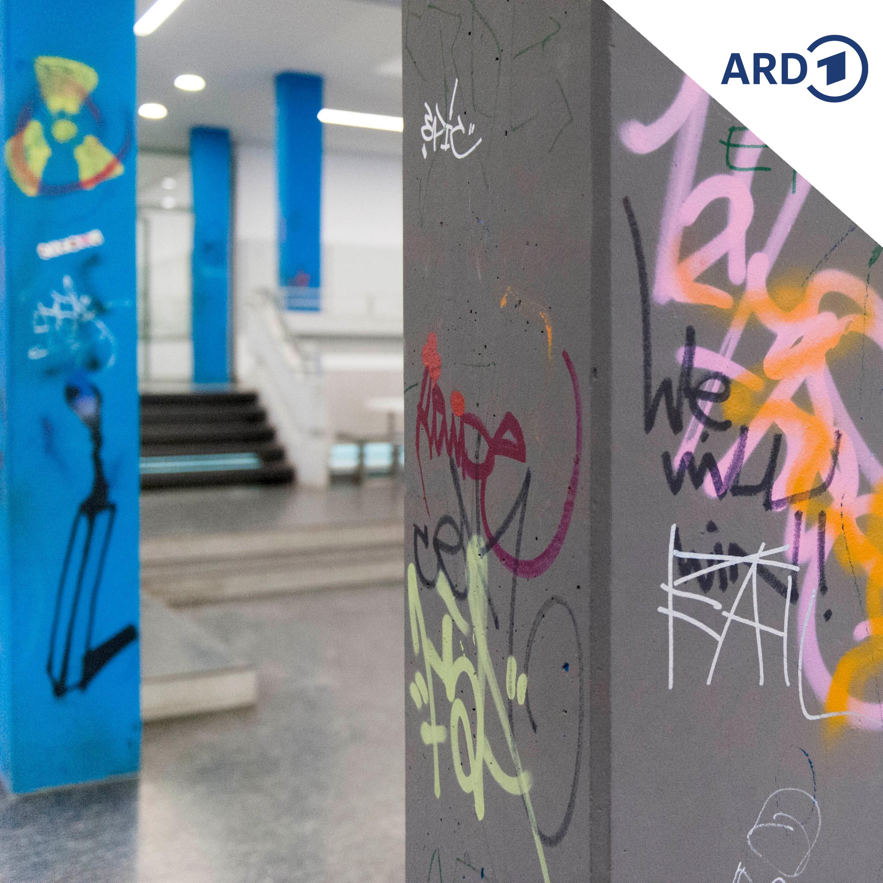 Verfassungsfeindliche Delikte an Schulen - was tun? episode artwork