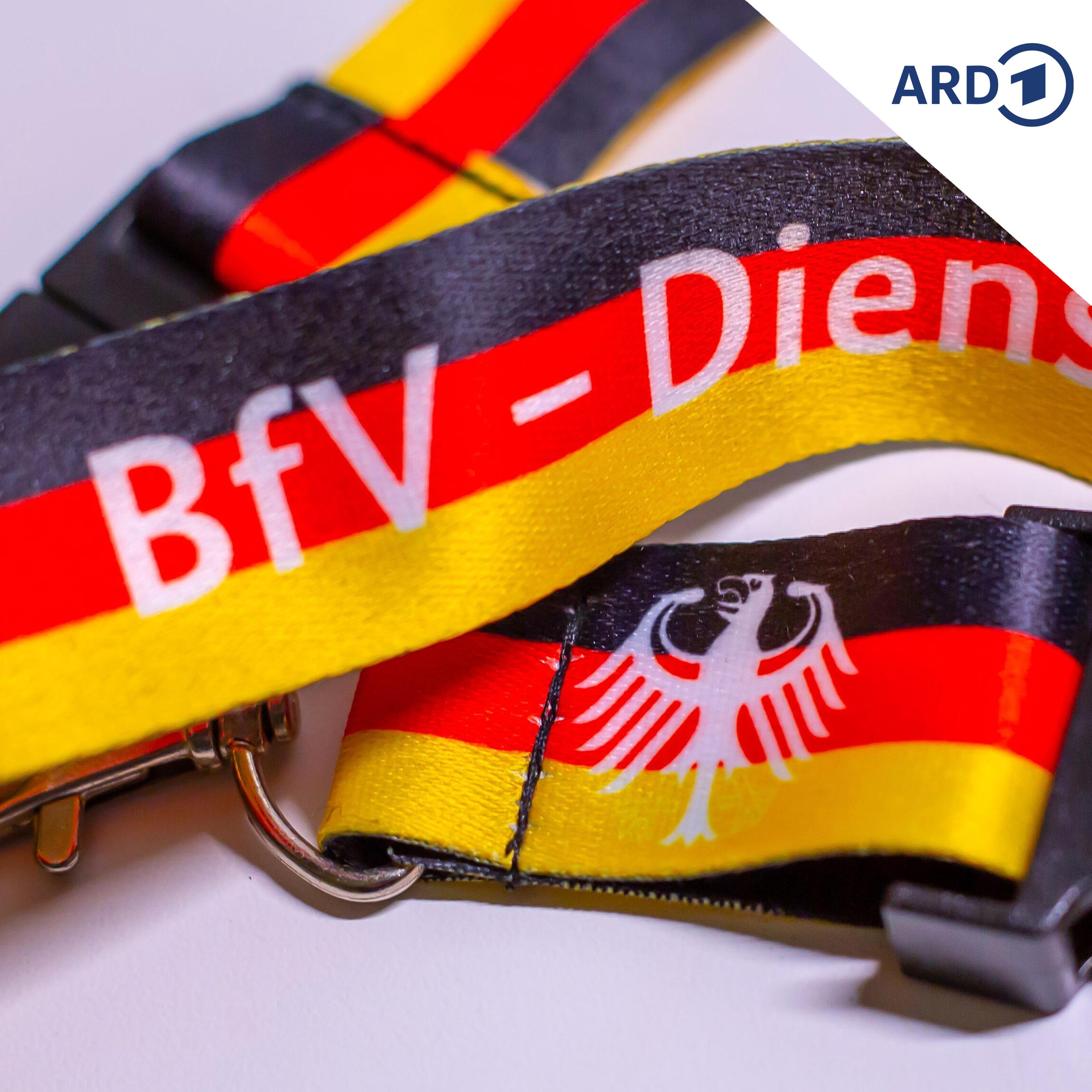 Diskussion um mehr  Befugnisse für den Verfassungsschutz episode artwork