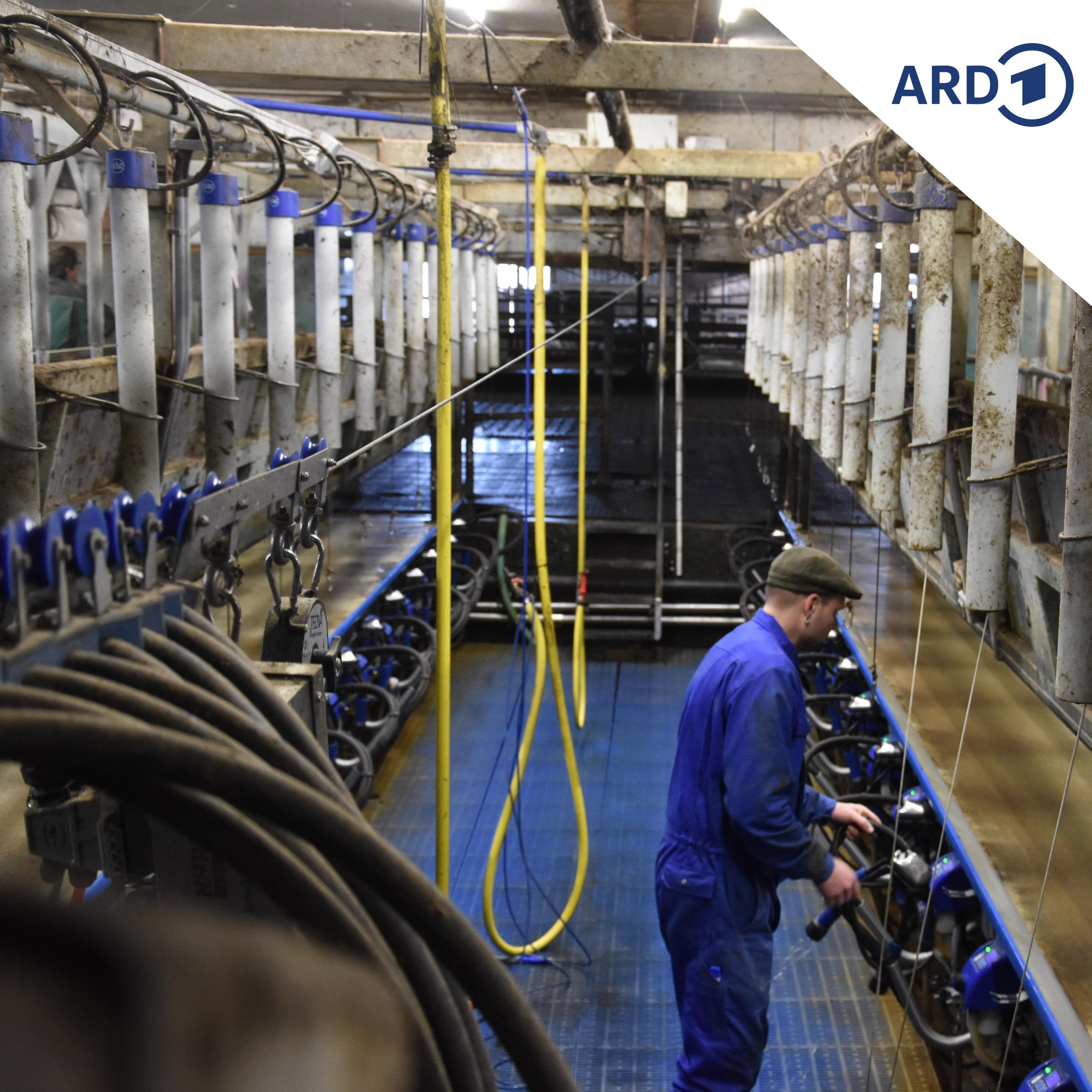 Warum die Landwirt-Ausbildung neu gedacht wird episode artwork