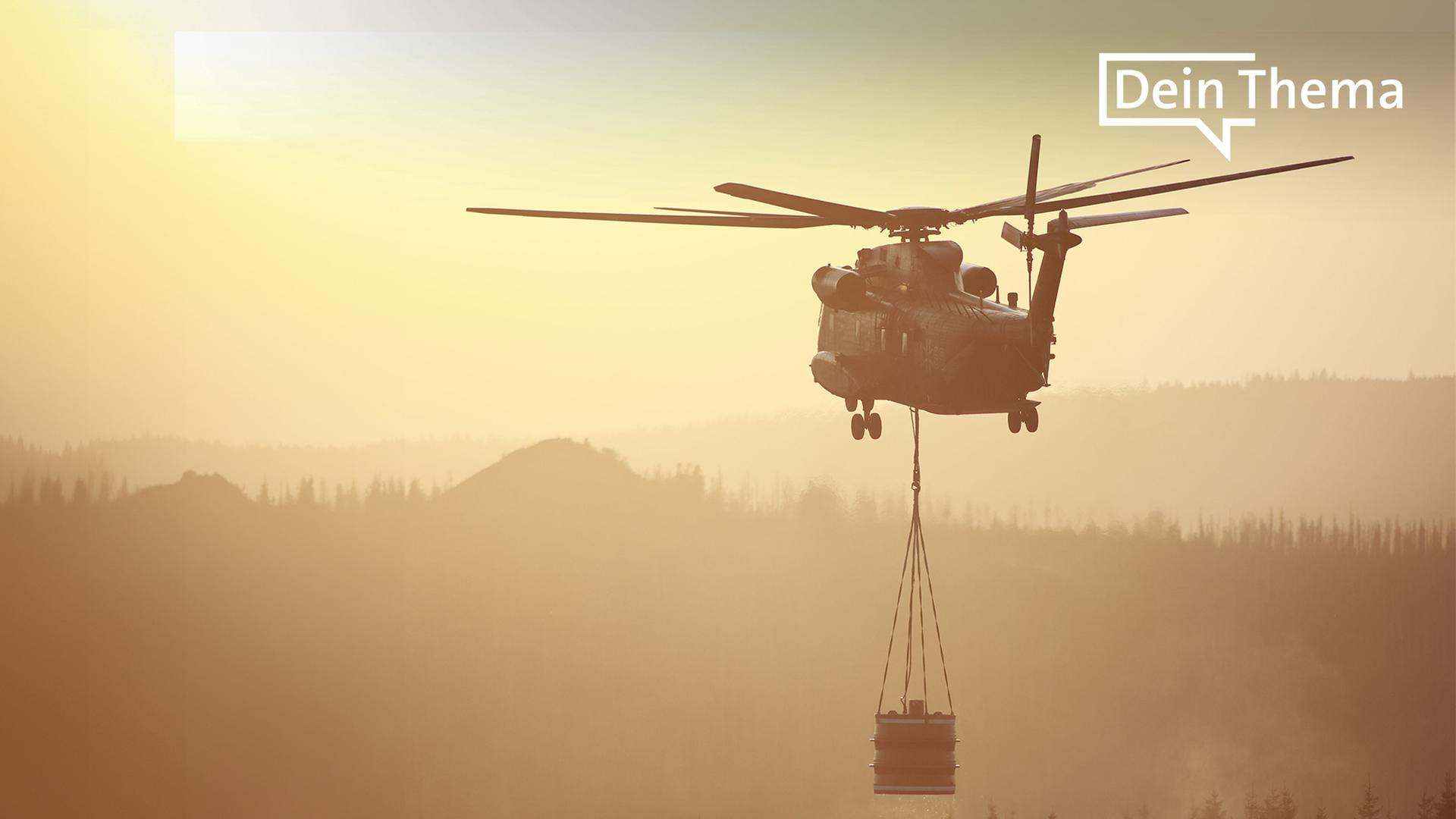 Aus für Bundeswehr-Karrierecamp im Harz: Landrat befürchtet Folgen