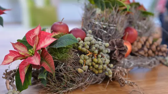5 Tipps: Weihnachtssterne kaufen, transportieren, pflegen | mdr.de