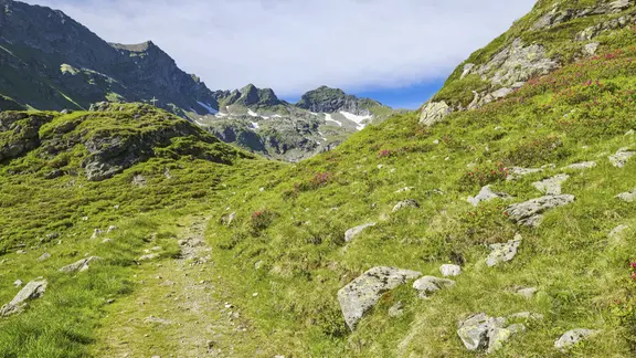 Wanderweg in den Alpen der Steiermark