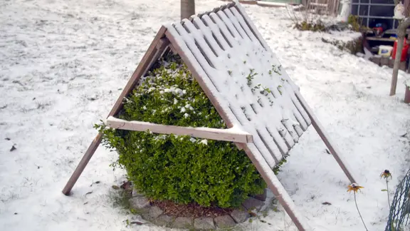 künstliche weihnachtsbaum wie echt Luxus Tannenbaum main image 1