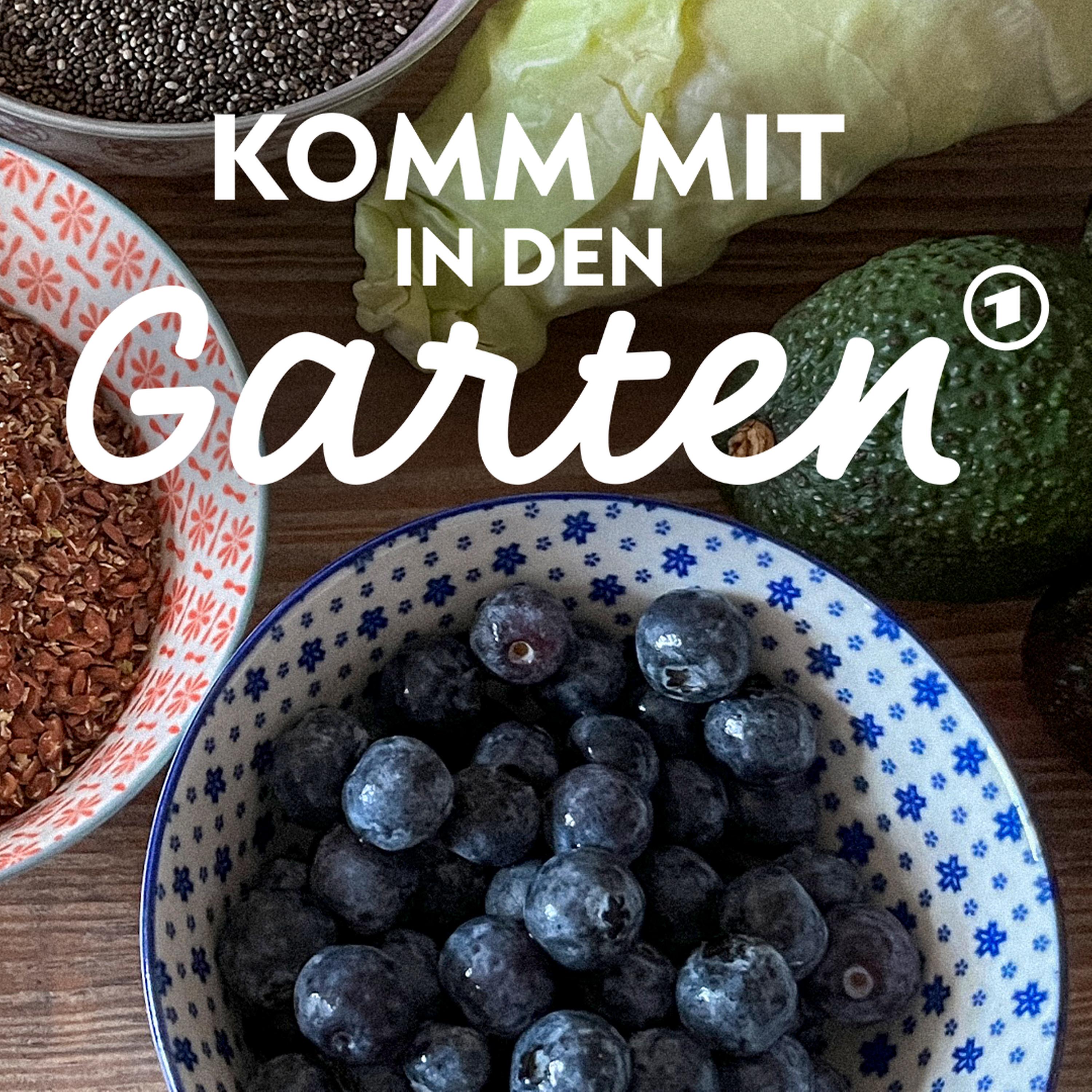 #102: Superfood direkt aus dem Garten episode artwork