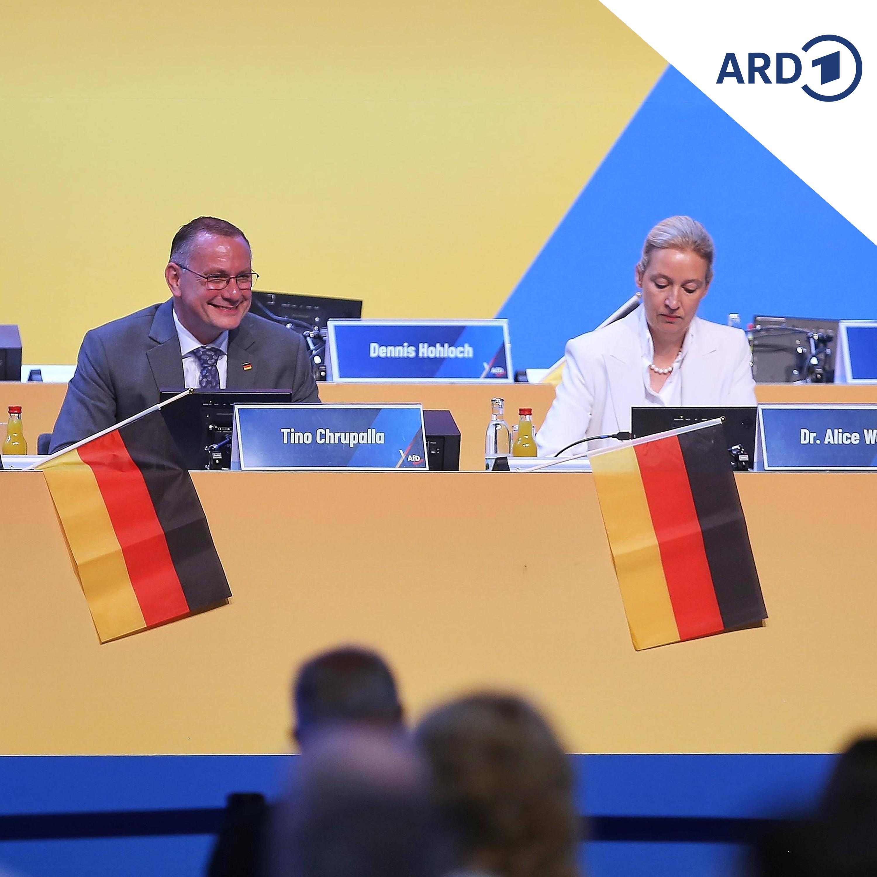 Politologe: Mitgliedereinfluss in AfD schrumpft episode artwork