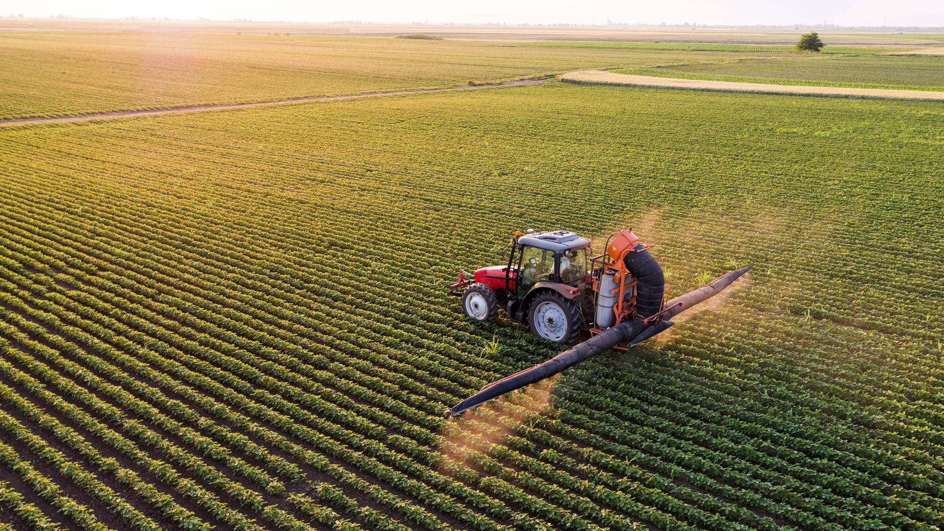 Landwirtschaft ohne Dngemittel und Pestizide bringt unterm Strich mehr  Leistung fr alle | mdr.de