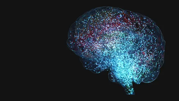 Signale und Impulse im neuronalen Netzwerk eines farblich gegliederten menschlichen Gehirns - 3d-Illustration